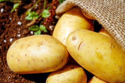 17 Alimentos que Generan Saciedad: Descubre sus Beneficios