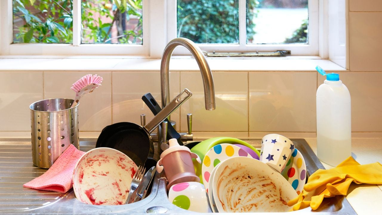 ¿Qué sucede si dejas un plato sin lavar una semana? Consecuencias y soluciones