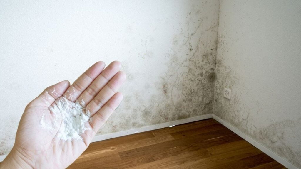 ¿Cómo eliminar la humedad en paredes con talco para pies?