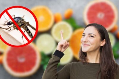 Insecticida casero con cítricos: ¿Cuál es el secreto para hacerlo efectivo?