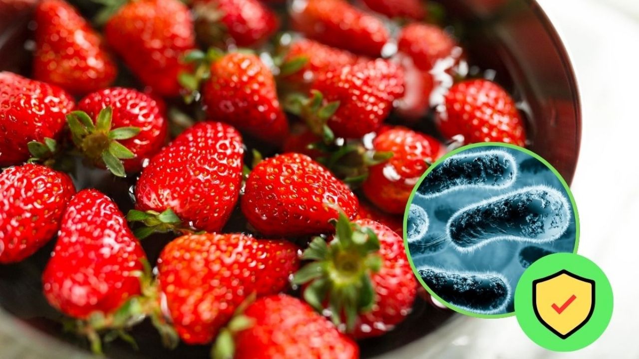Cómo eliminar bacterias de fresas con 2 ingredientes fácilmente