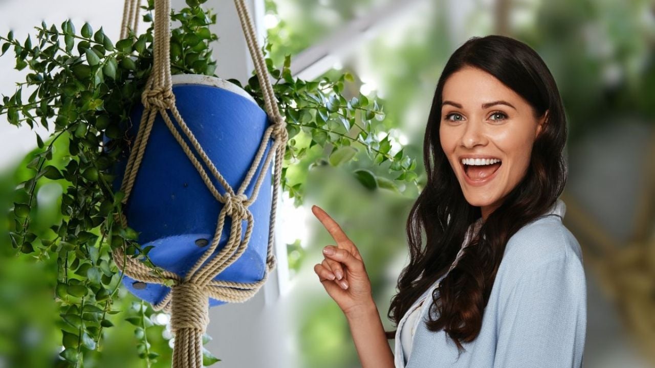 Cómo hacer un hermoso macetero colgante de macramé fácil DIY