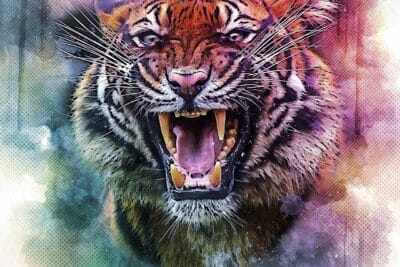 Significado de Soñar con Tigre